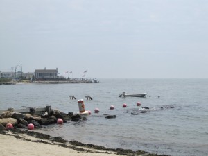 American Flags on Long Island Sound