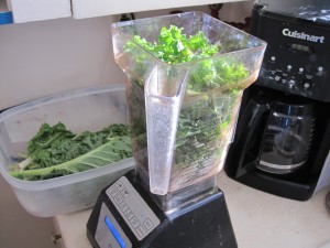 Raw Greens in the Blendtec