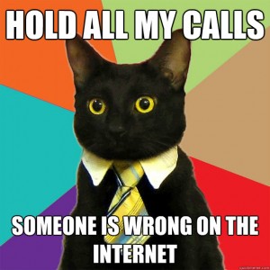 Someone is Wrong on the Internet Cat