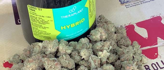 A 1-ounce pile of medical marijuana on a tray.