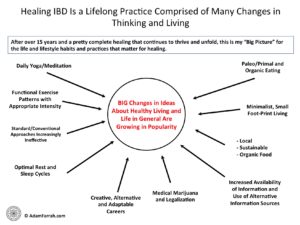 Diagram showing big-picture lifestyle changes for healing ulcerative colitis correspond to those in the culture at large.