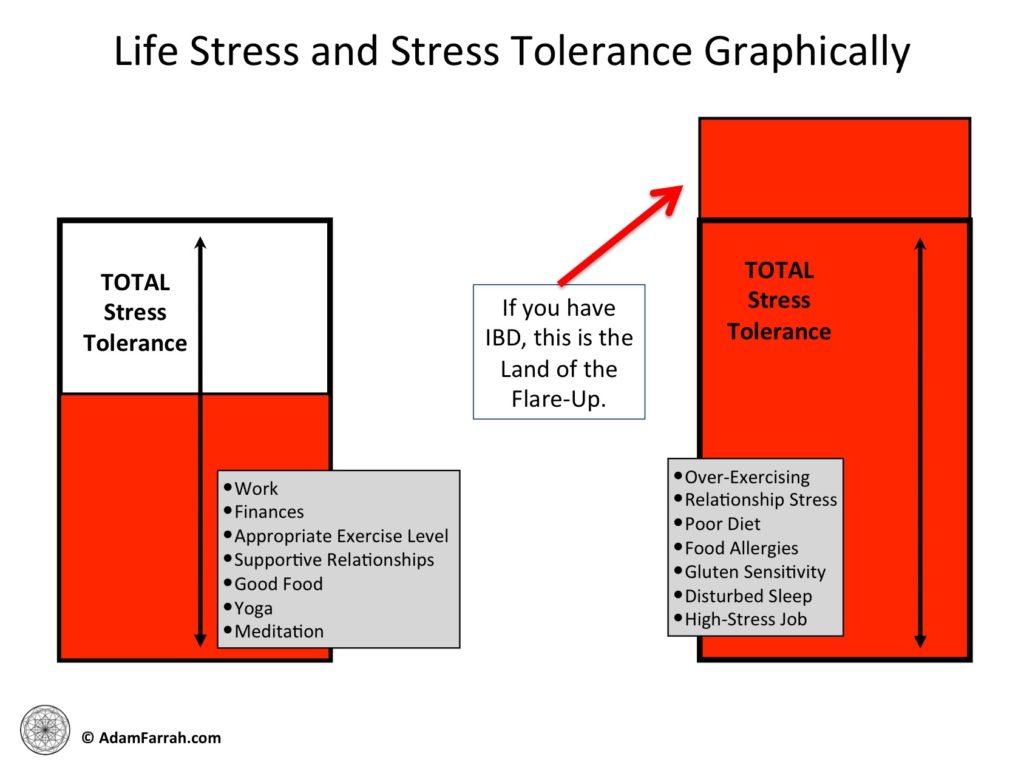 Image showing relative levels of stress in relation to the stress tolerance of the individual.