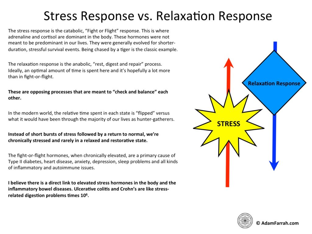 Image shows fight-or-flight vs. relaxation response processes.