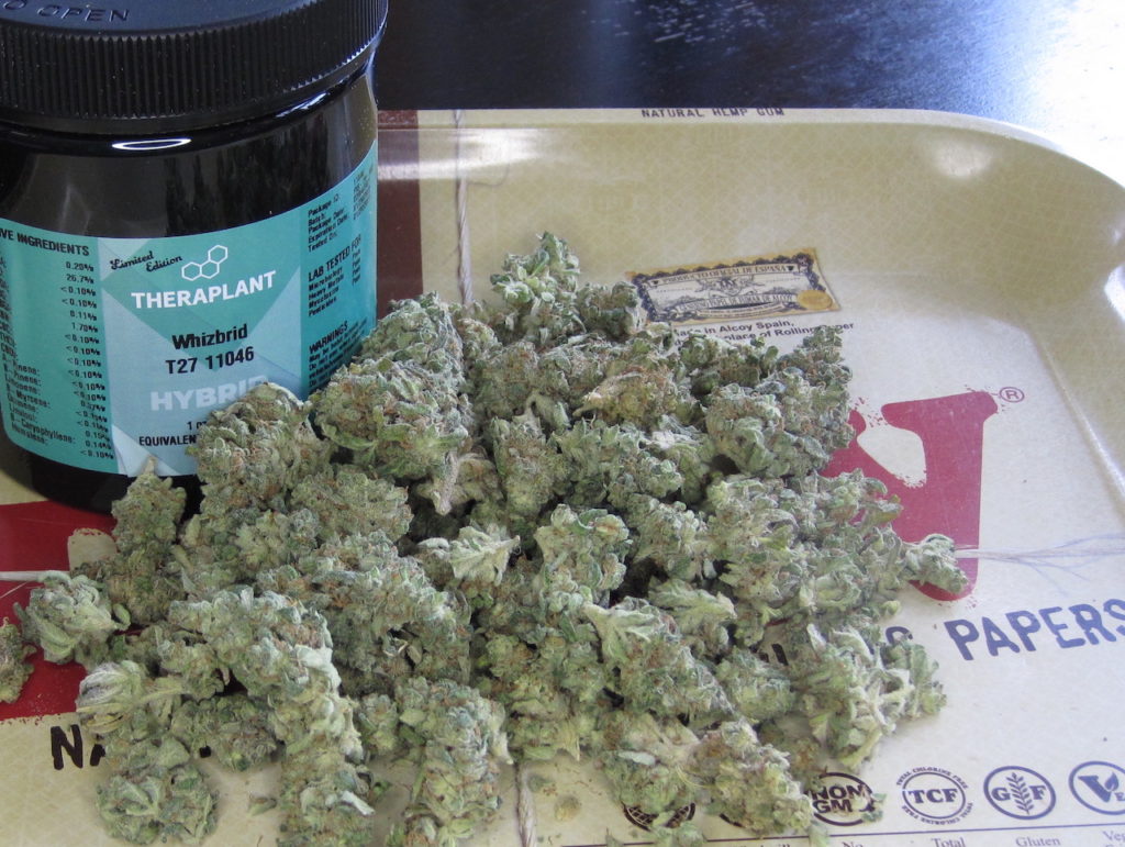A large pile of fresh medical marijuana flower on a metal tray.