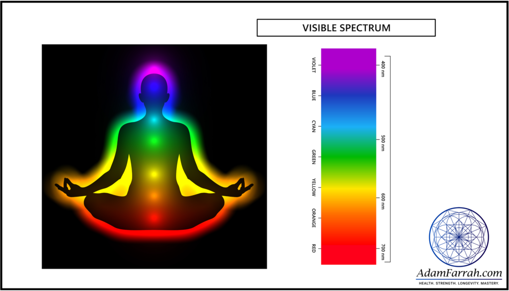 Silhouette of a person meditating with legs crossed showing the locations of the first through seventh chakras in color on the body alongside the visible portion of the electromagnetic spectrum.