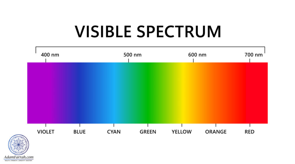 A band of color like a rainbow with the wavelength of each color of light shown from 400nm to 700nm.