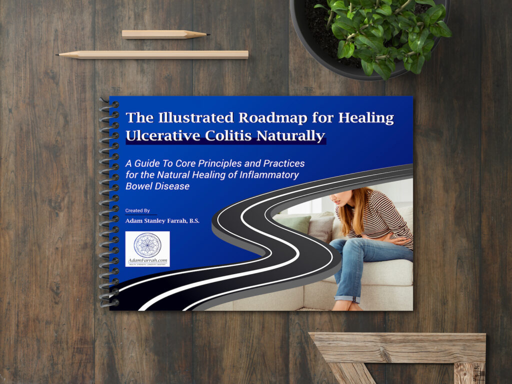 A spiral-bound version of The Illustrated Roadmap for Healing Ulcerative Colitis Naturally on a table with pencils, a ruler and a plant.